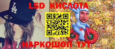 спиды Гай