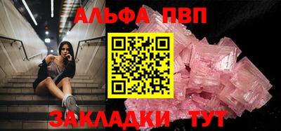 спиды Гай