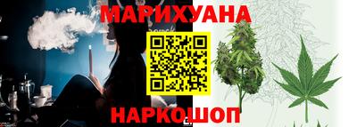 спиды Гай