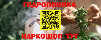 спиды Гай