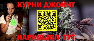 спиды Гай