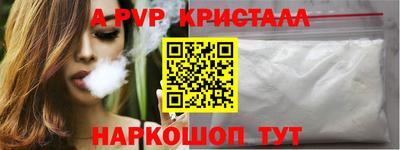 спиды Гай