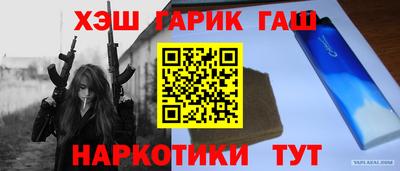 спиды Гай