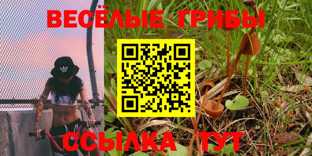 Нововоронеж  Псилоцибиновые грибы мухоморы  Галлюциногенные грибы Magic Shrooms  Вход с VPN 